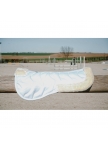 RIDING WORLD Back Pad - EK-Maxifun