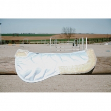 Horse Horse