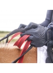 Breastplate with safety reins SECUTRUST