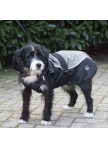 Dog Coat Teddy