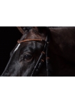 Bridle Rosegold Glamour Style