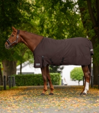 Turnout Rug Arctic, Light
