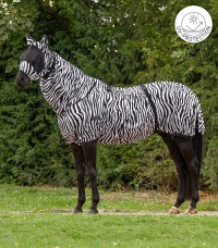 Zebra Premium eczema blanket
