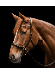 Waldhausen X-Line Bitless Bridle Sensation Waldhausen X-Line Bitless Bridle Sensation