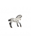 PAPO - Black Appaloosa Foal PAPO - Black Appaloosa Foal