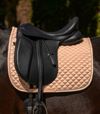 Horse Horse