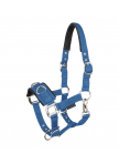 Economic lunging halter
