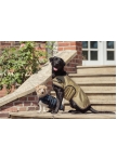 Dog Coat Eskadron 1680D Heritage 25