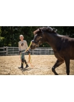 Lunge line Rainbow Lunge line Rainbow