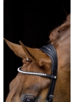 Bridle Pro Anatomic