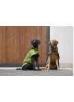 Dog Rug Eskadron 1680D Teddyfleece Platinum 24