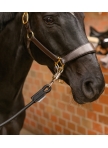 Elastic Tie-Up for Stall and Stable, 90 cm