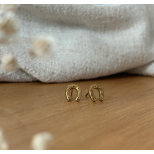Earrings Cary