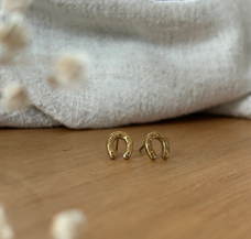 Earrings Cary