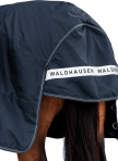WALDHAUSEN