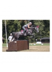 Equine Fusion Active Jogging Shoes