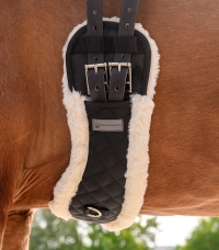 Horse Horse