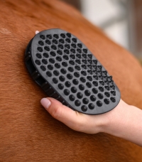 Horse Horse