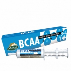 Oral paste BCAA