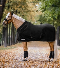 WALDHAUSEN autumn/winter 2023/2024 > HORSE