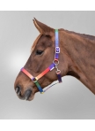 RAINBOW Coloured halter, pony