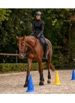 Set of 8 XL pylons including bag (height 50 cm)