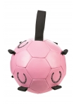 Ball as toy for horses Fun