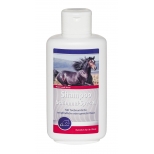 Shampoo for White Horses with Tea Tree Oil