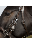 Trail Walking Bridle