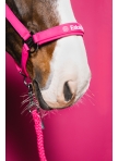 Halter Eskadron Softshell DoublePin Dynamic 26