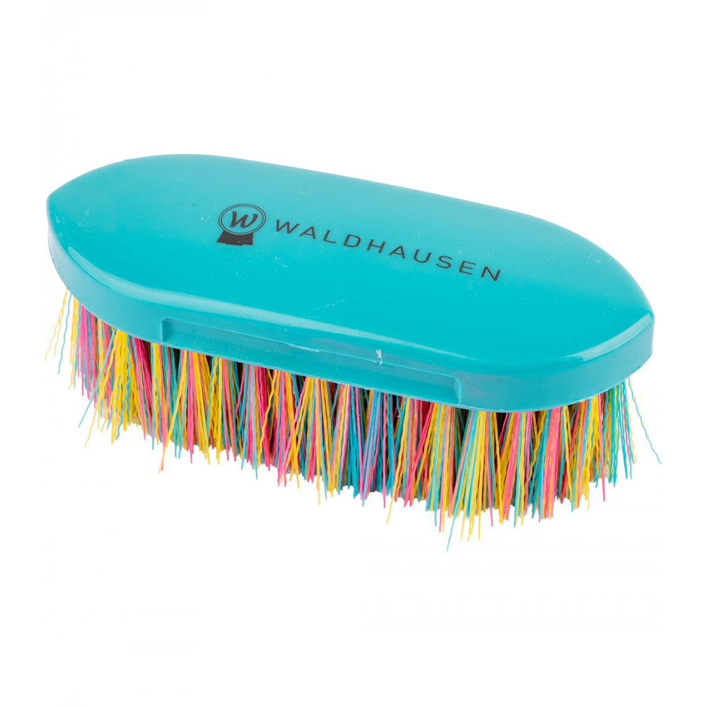 Rainbow Stiff Brush Rainbow Stiff Brush