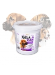 GelaCan Baby mineral nutrition for females and puppies