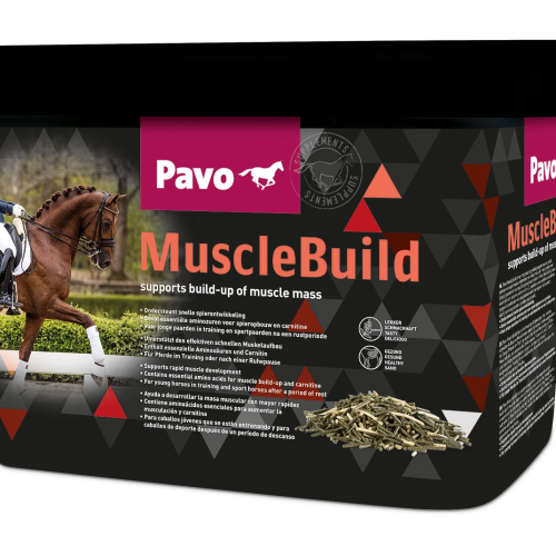 PAVO Muscle Build, 3 kg