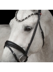 Bridle Elli