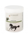 Spirulina Pellets - Promote Muscle Development And Muscle Metabolism, 1 Kg Spirulina Pellets - Promote Muscle Development And Muscle Metabolism, 1 Kg