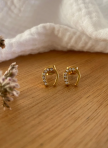 Equestrian Shop