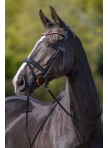 Bridle Rosegold Glamour Style
