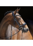 Bridle Softtech Line Anouk