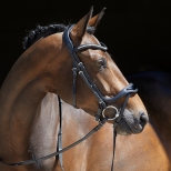 Bridle Softtech Line Anouk Bridle Softtech Line Anouk