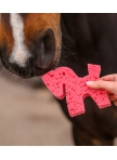 Horse shaped sponge