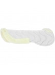 RIDING WORLD Back Pad - EK-Maxifun