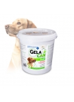 GelaCan Fast for acute pain in dogs