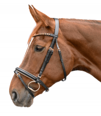 STAR Bridle Rose Gold
