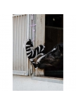 Hippotonic Zebra Toy