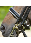Double Bridle Paris