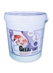 GelaPony Arthro for horses