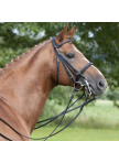 Double Bridle Anja Beran