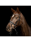 Bridle Comfort Lyon