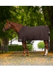 Turnout Rug Arctic, 300g