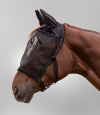 Horse Horse